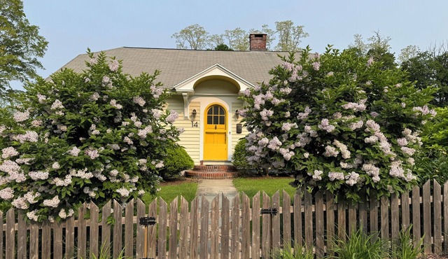Walk to Lenox Village - 1930s Cottage Charmer!