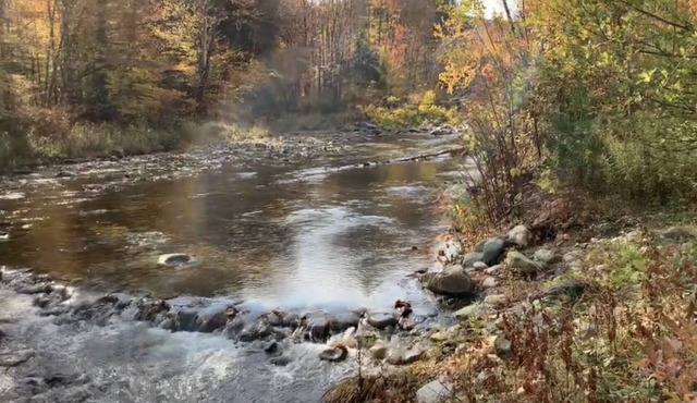 Waterfront Ski House, close to Mt. Snow and Stratton!