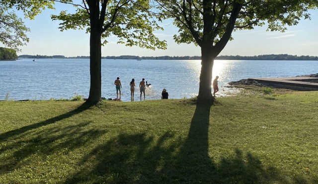 Waterfront, sunlit cozy cottage with large dock, fire pit and good swimming. in kingston