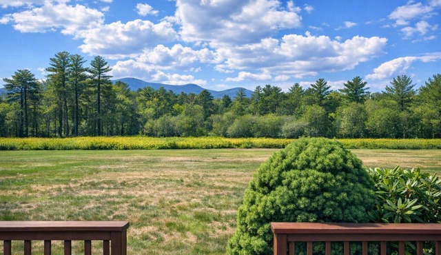 White Mountain Retreat - spacious 2BR 2BA with additional sleeping space