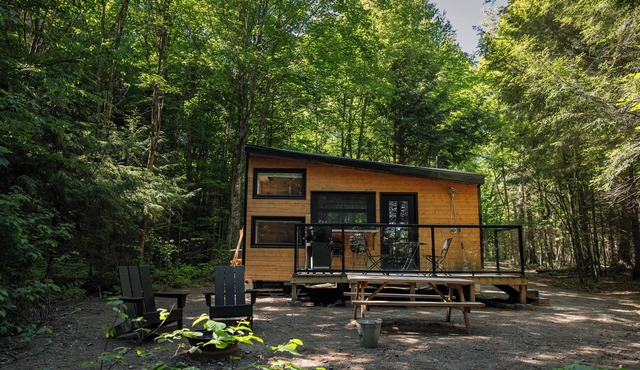 Willow Cabin | Magnificent Remote Waterfront Cabin