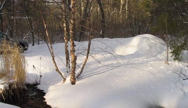 Woods & Windows - Treehouse for Adults - Near a Lake, Waterfall and Tanglewood!