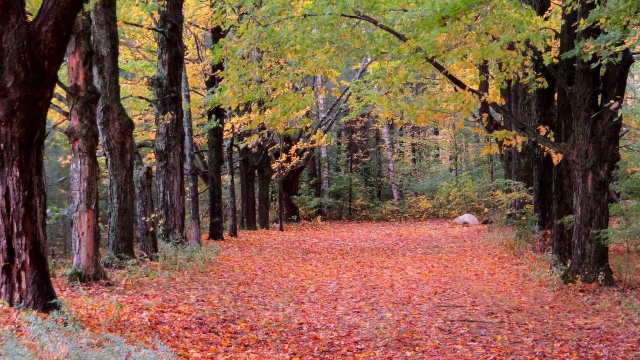 Photo of Others in Ashburnham