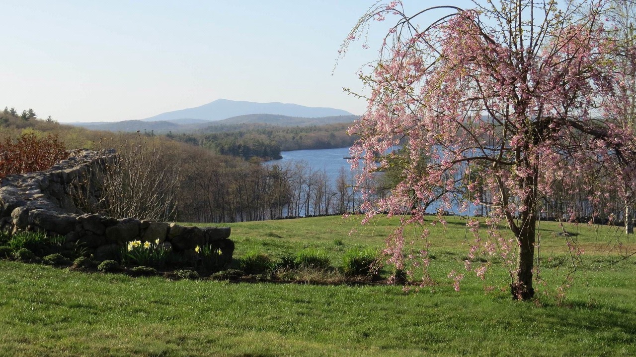 Photo of Others in Ashburnham