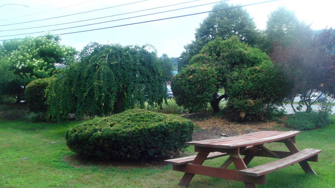 Photo of Others in Brattleboro