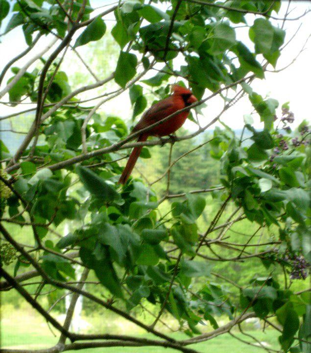 Photo of Others in Ashburnham