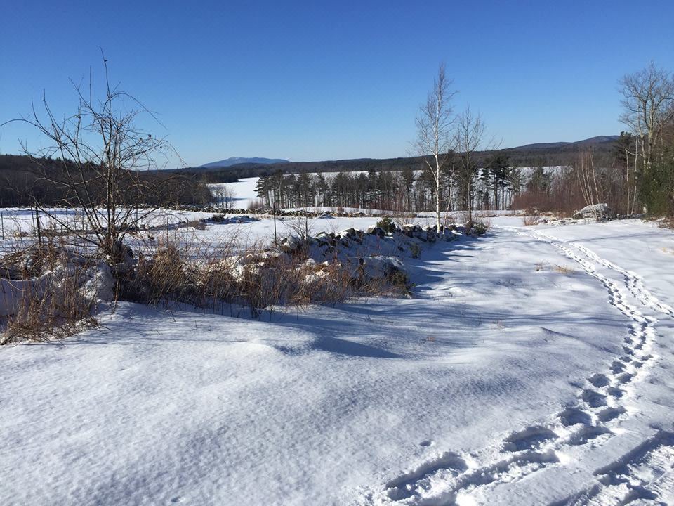 Photo of Others in Ashburnham