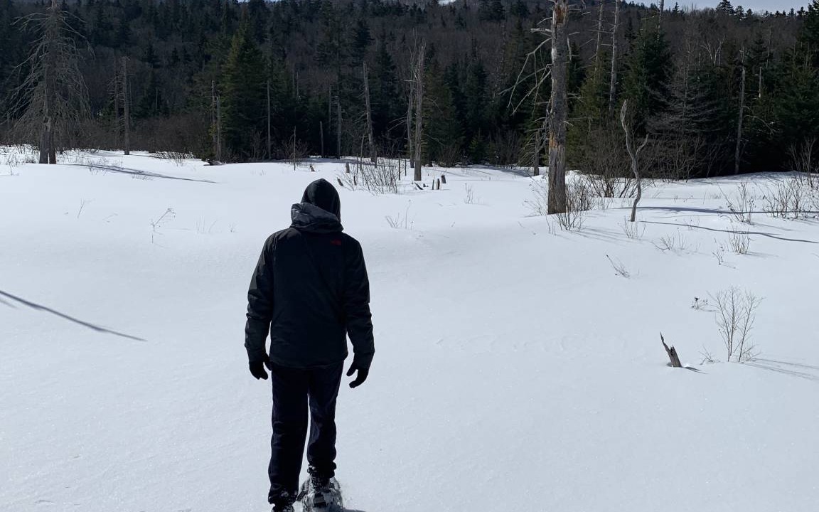 Photo of Others in Bretton Woods