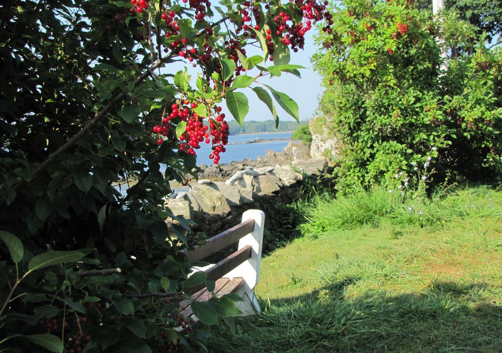 Photo of Others in Peaks Island