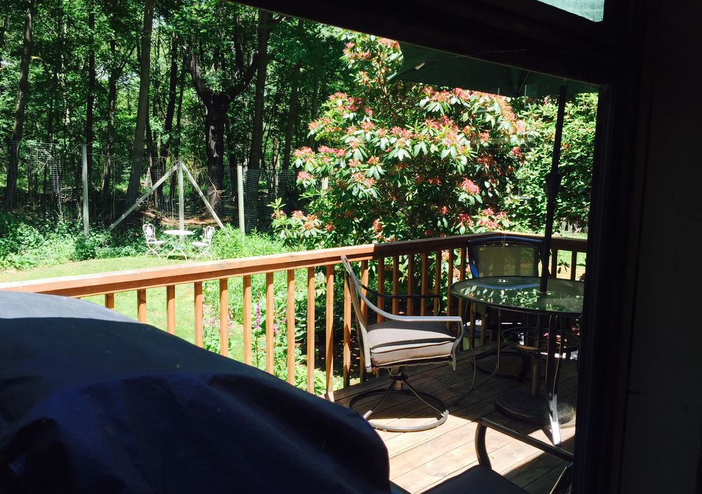 Photo of Patio Balcony in Peaks Island
