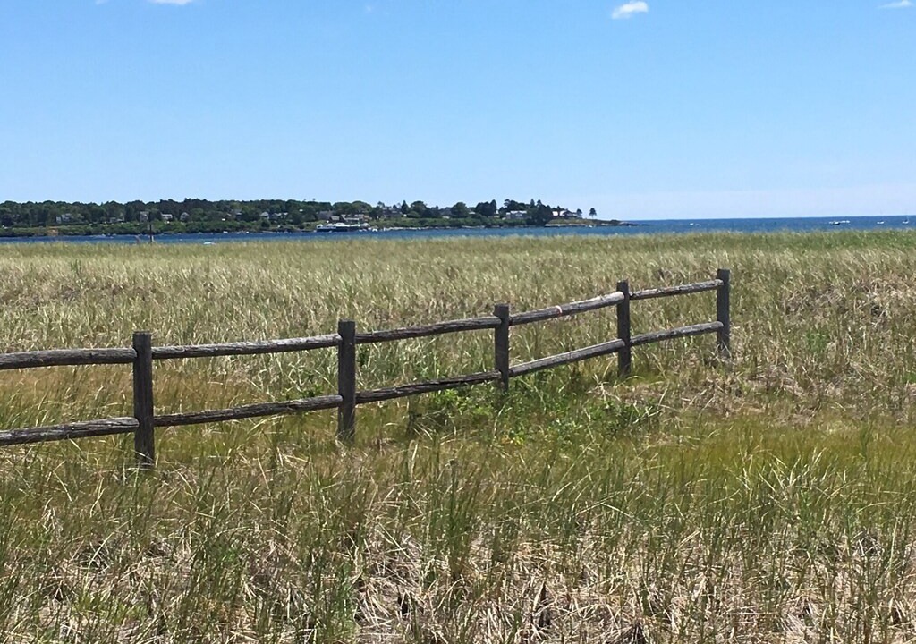 Photo of Others in Pine Point