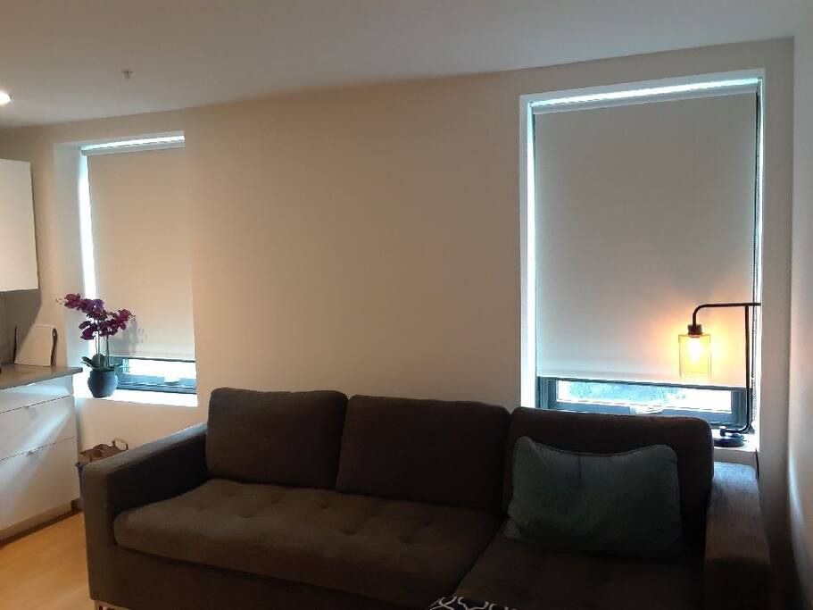 Photo of Livingroom in Mission Hill