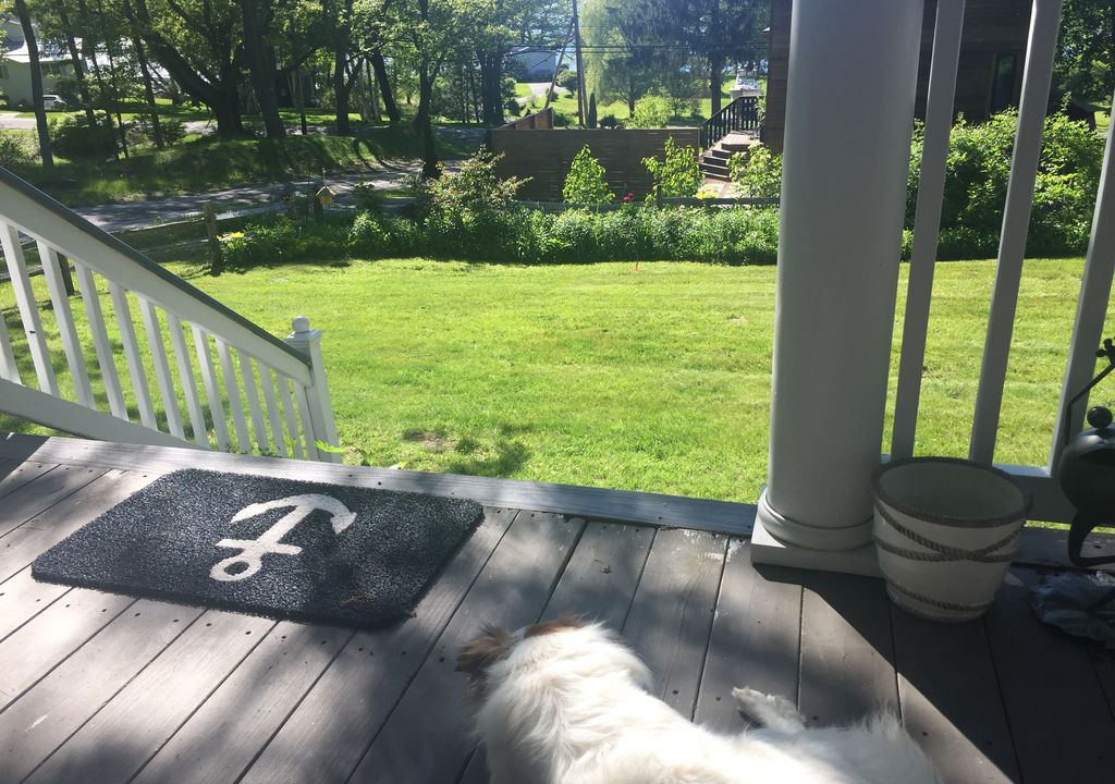 Photo of Patio Balcony in Peaks Island
