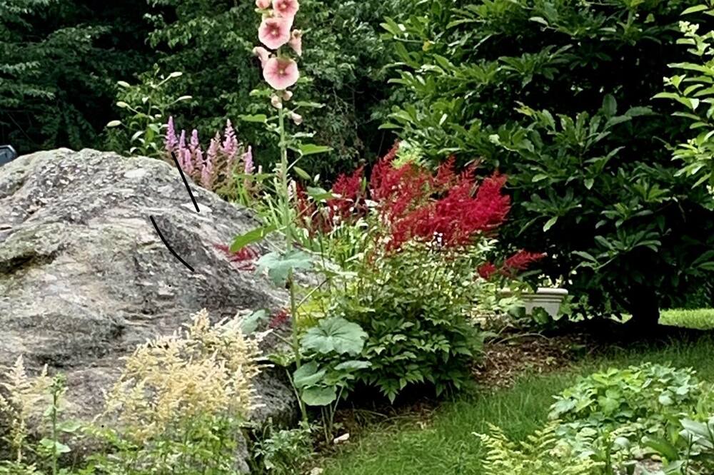 Photo of Outdoor in Wilmington