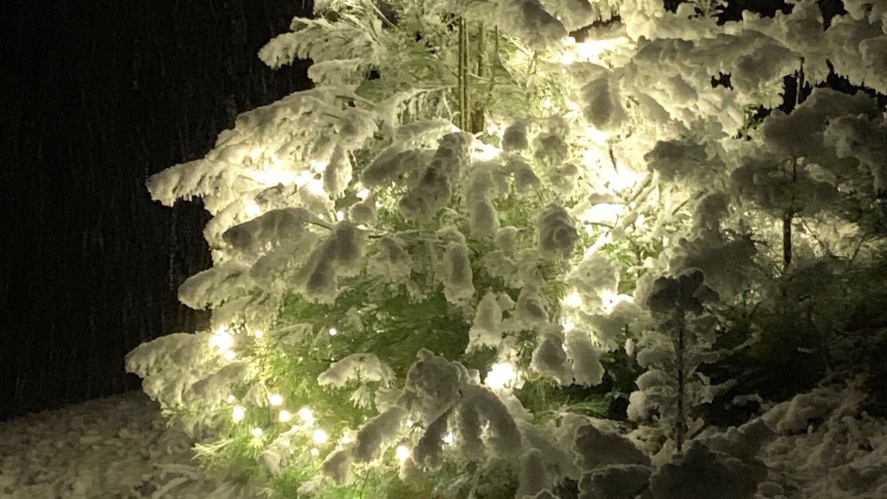Photo of Outdoor in Bridgewater Corners