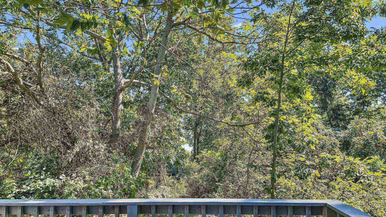 Photo of Outdoor in Guilford