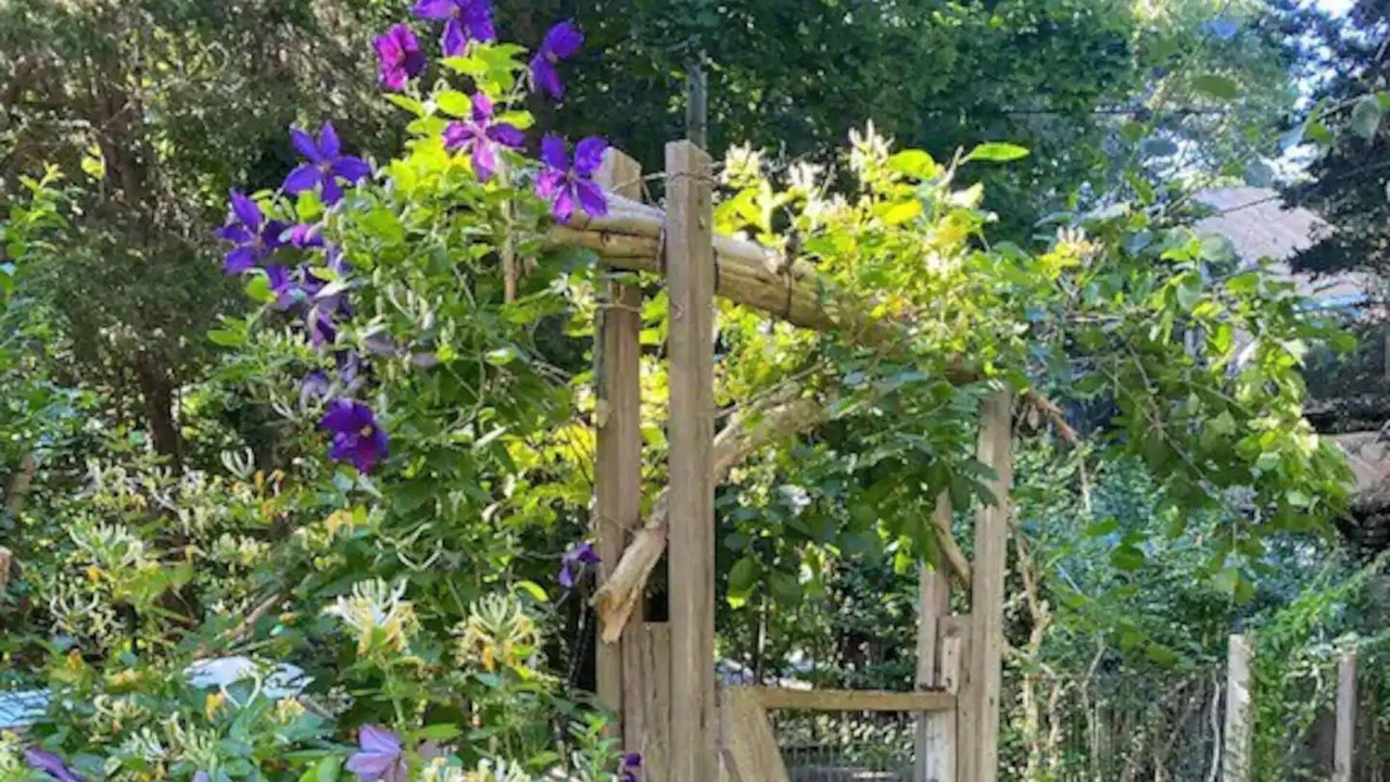 Photo of Outdoor in Guilford