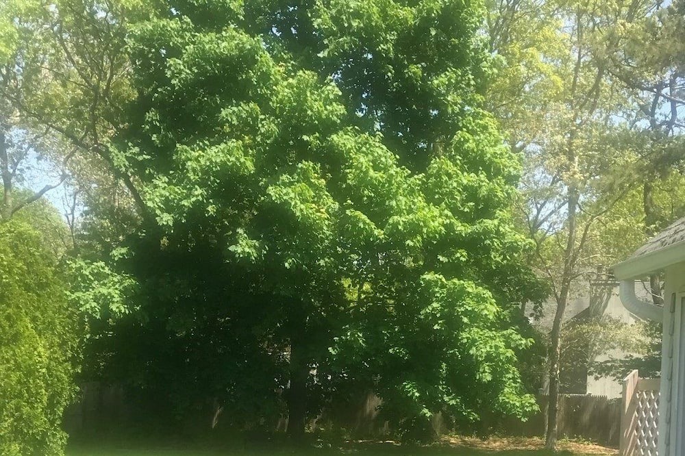 Photo of Outdoor in Westhampton Beach
