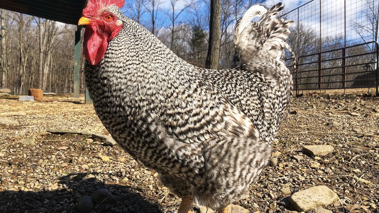 Photo of Others in Saugerties