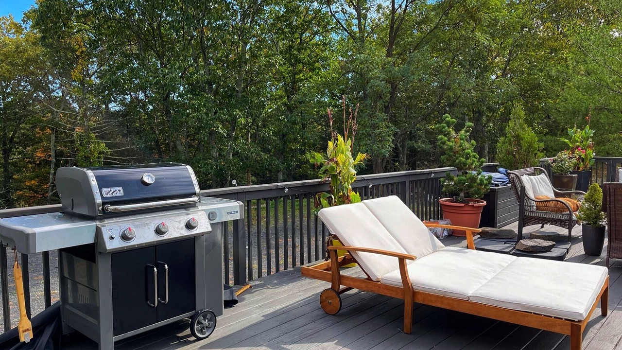 Photo of Outdoor in Saugerties
