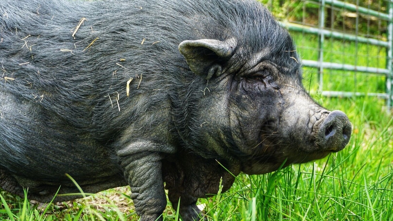 Photo of Others in Saugerties