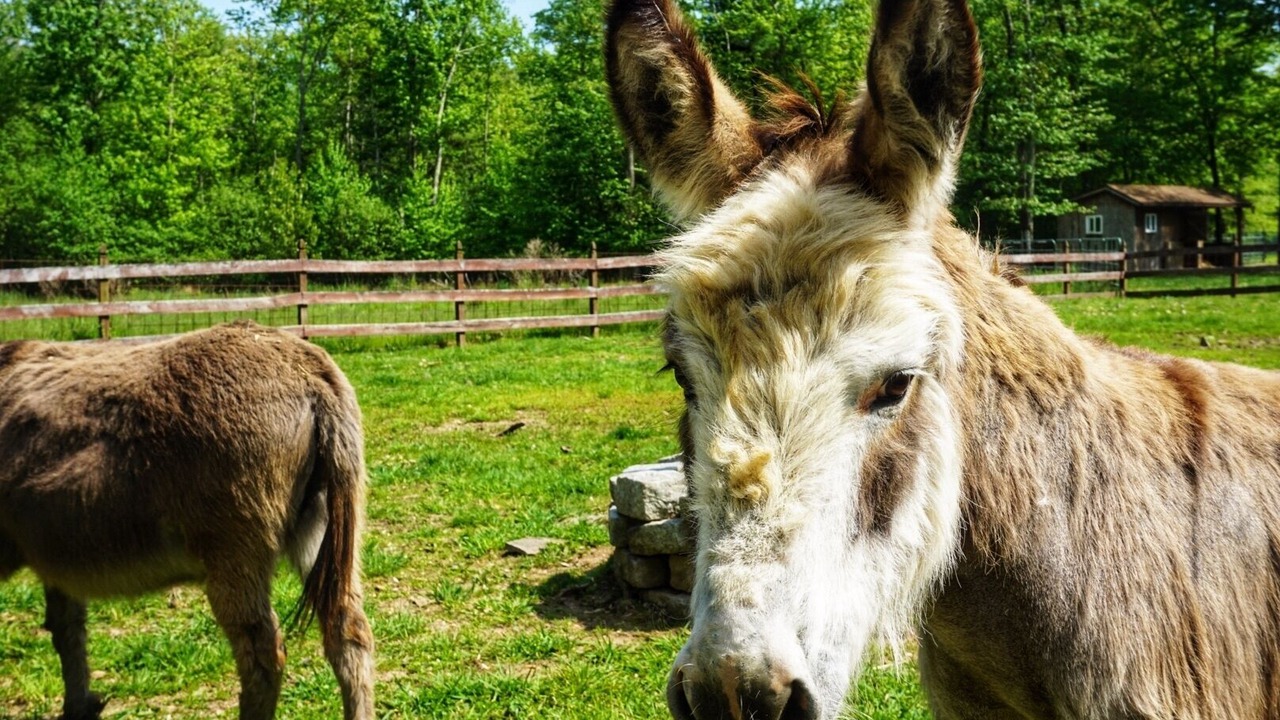 Photo of Others in Saugerties