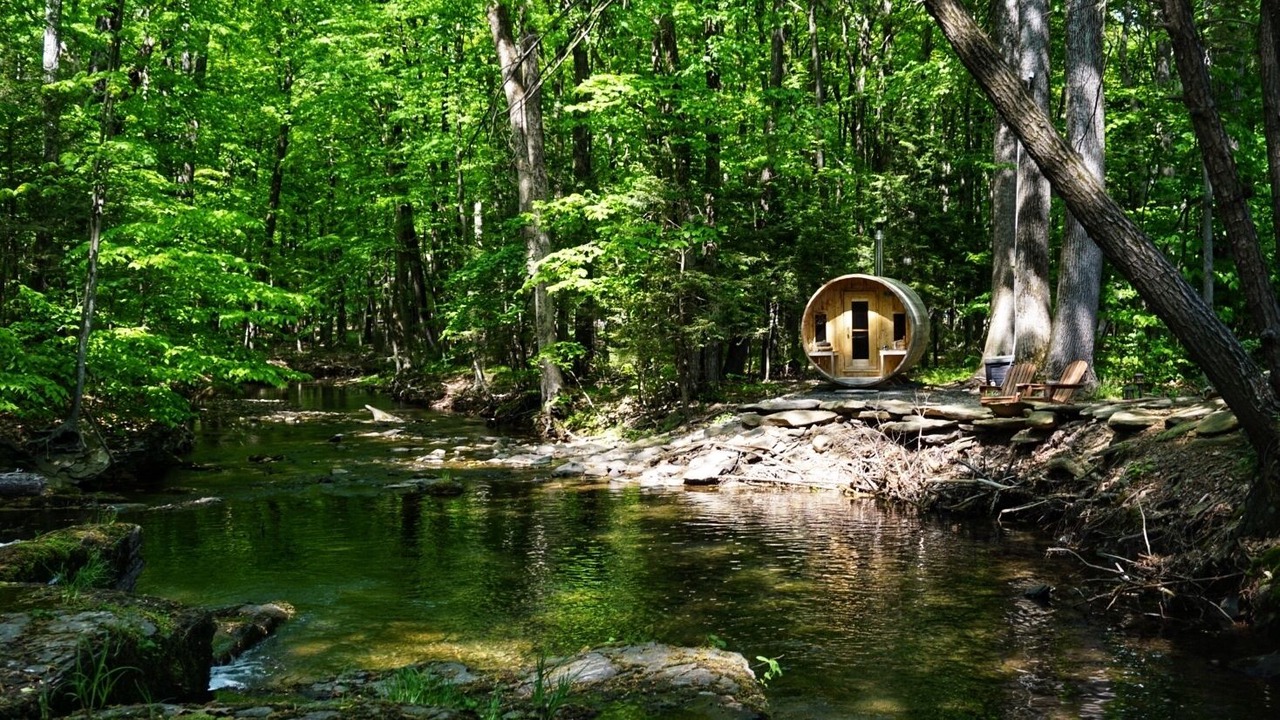 Photo of Outdoor in Saugerties
