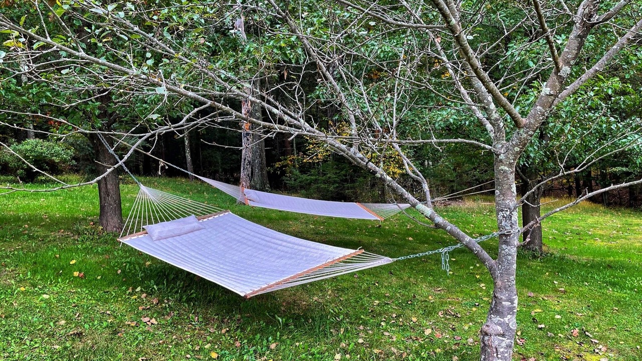 Photo of Outdoor in Saugerties