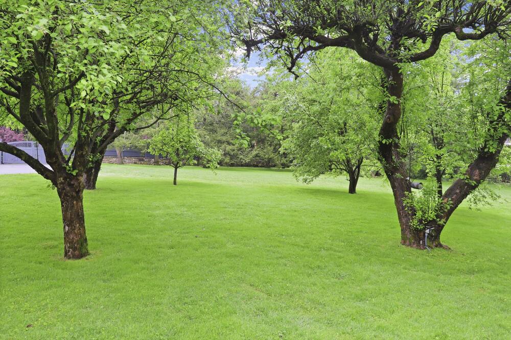 Photo of Outdoor in Greenwich