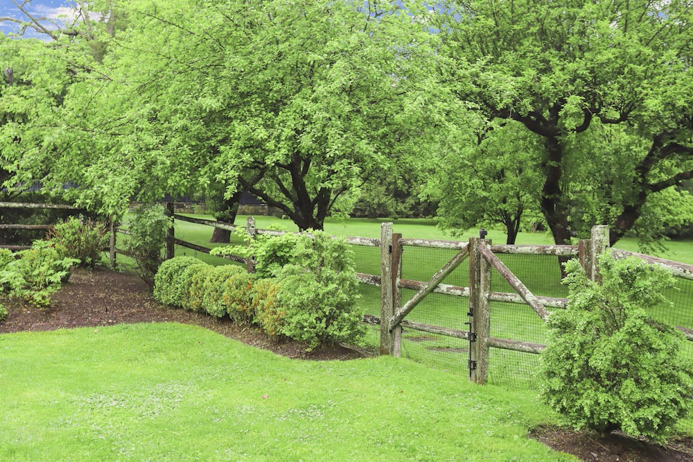 Photo of Outdoor in Greenwich