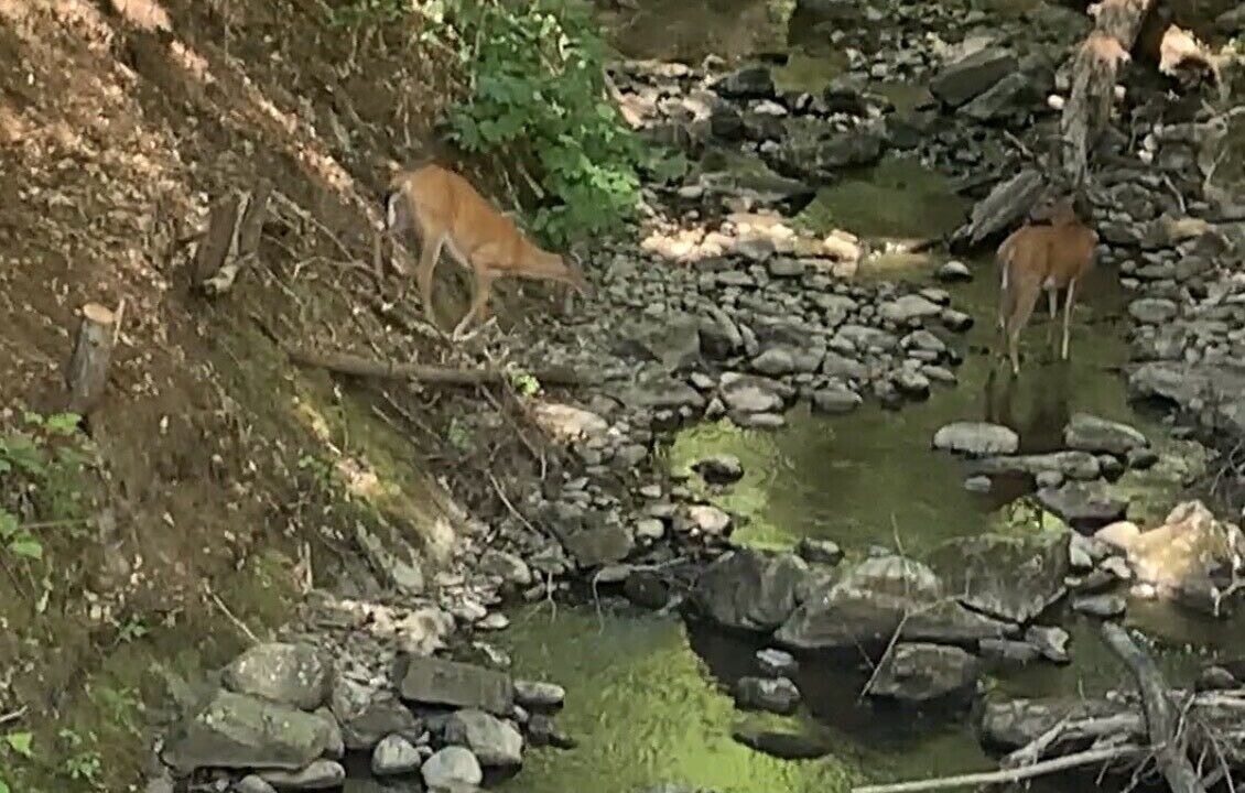 Photo of Others in Bolton Landing