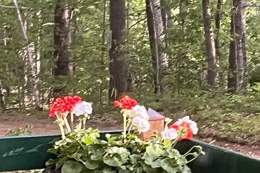 Photo of Outdoor in East Wakefield