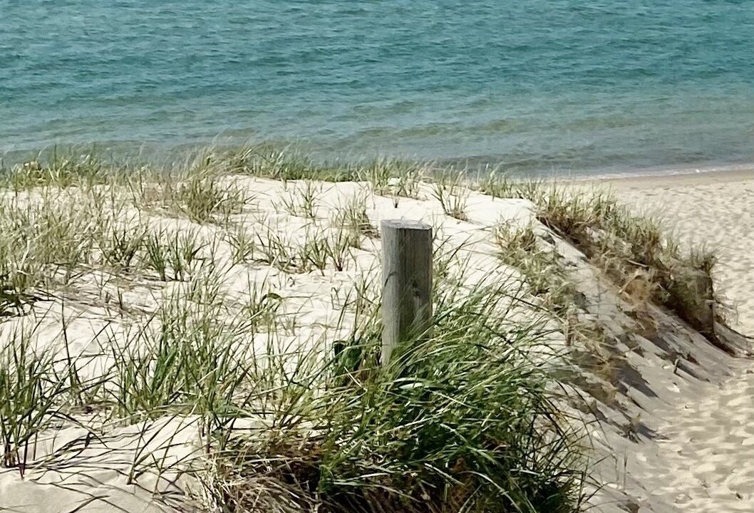 Photo of Others in West Tisbury