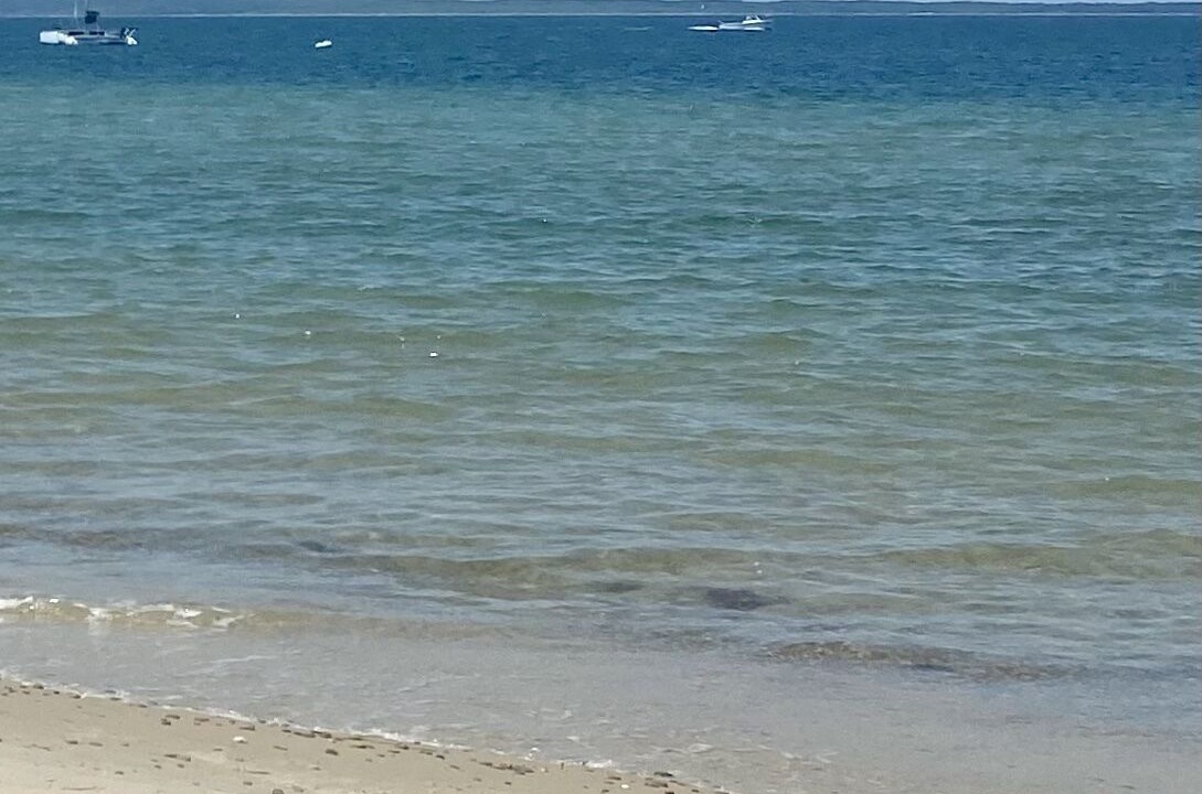 Photo of Others in West Tisbury