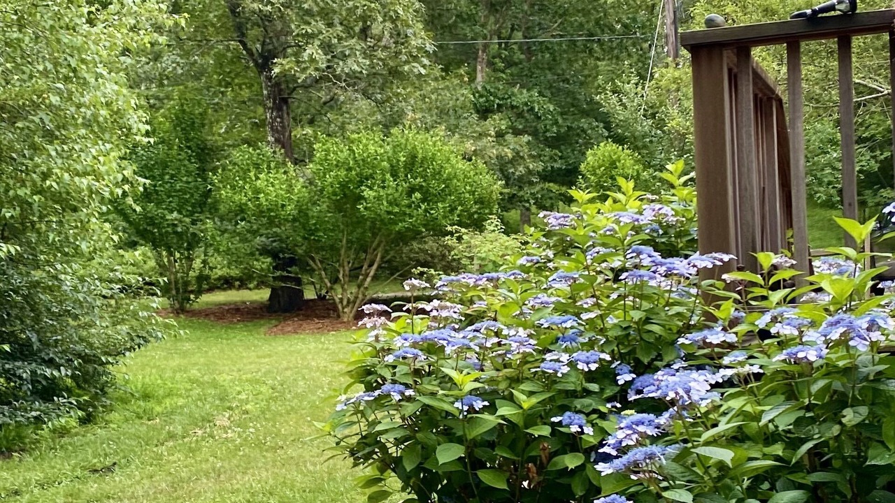 Photo of Outdoor in West Tisbury