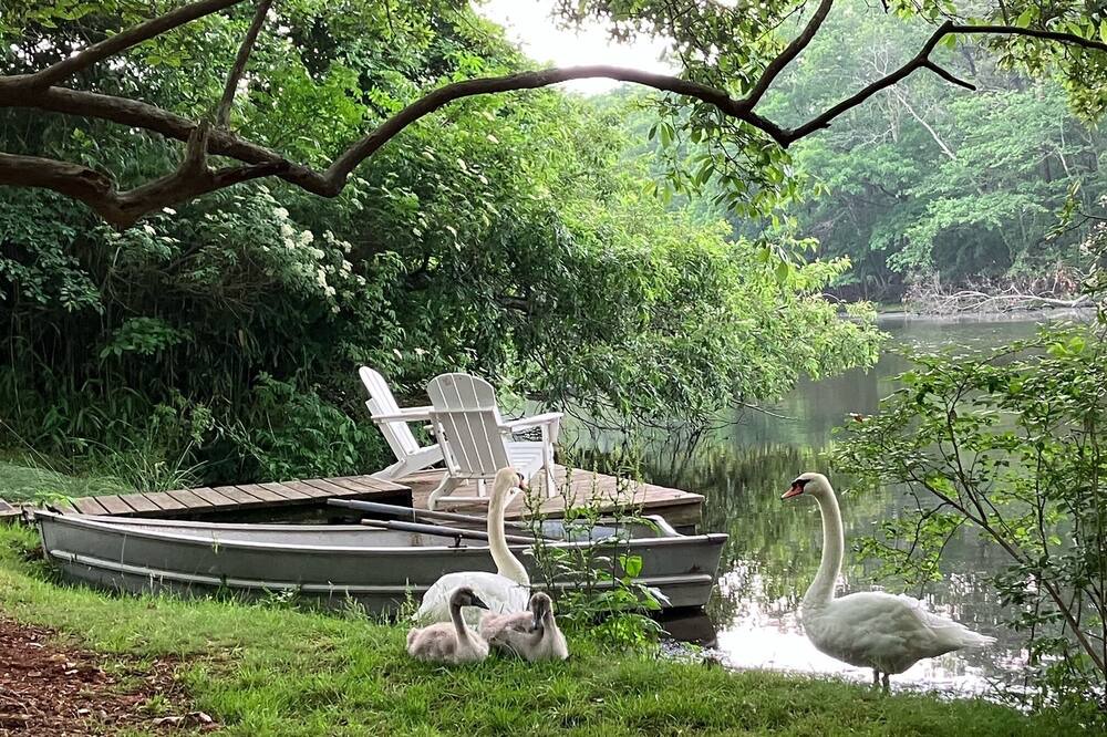 Photo of Outdoor in East Quogue