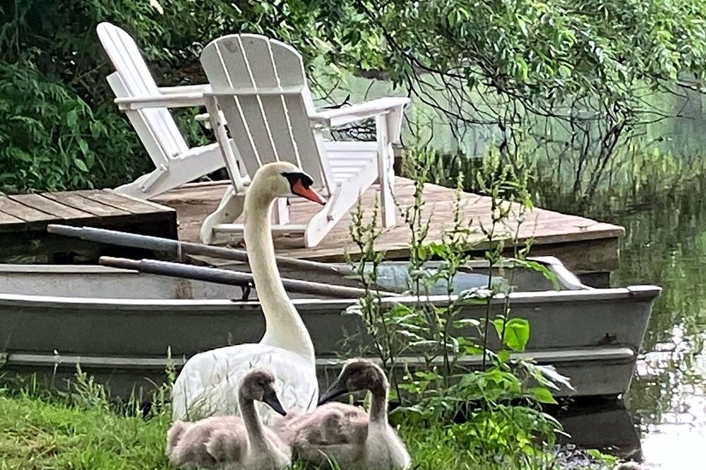 Photo of Outdoor in East Quogue