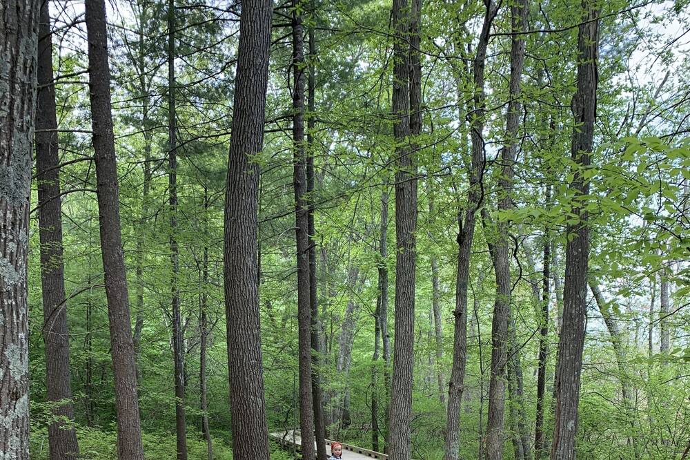 Photo of Outdoor in Stratham