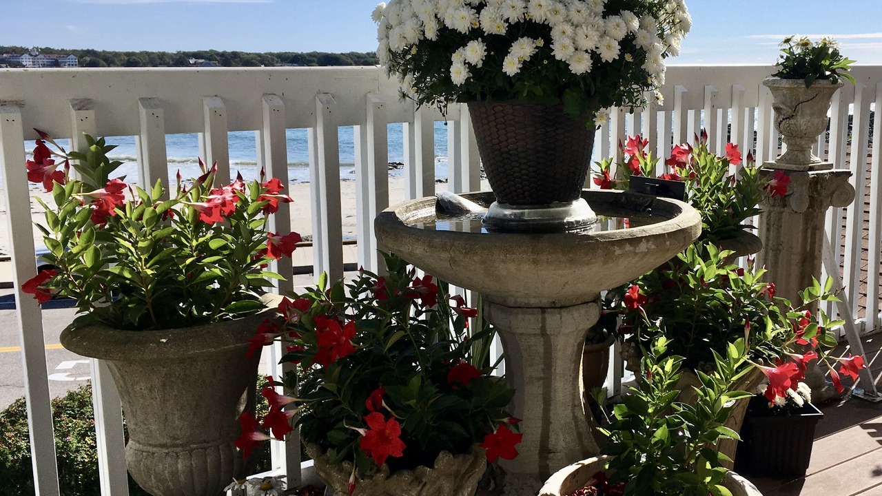 Photo of Outdoor in Kennebunk
