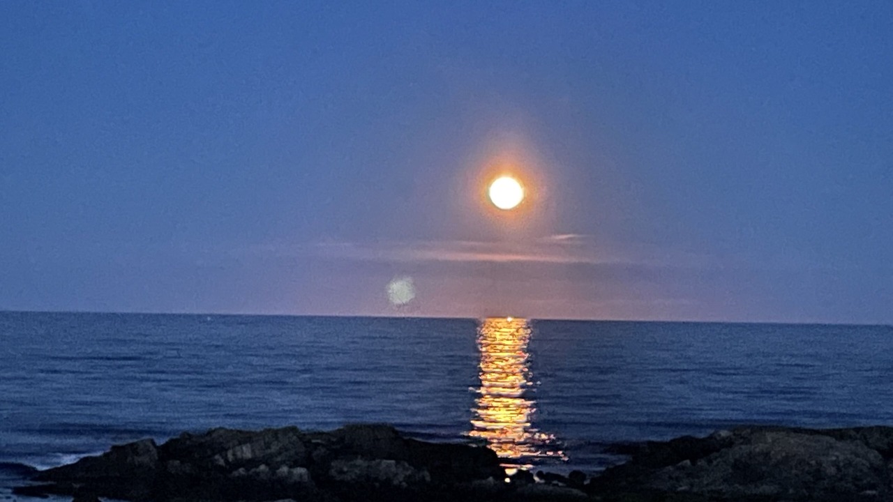 Photo of Others in Kennebunk