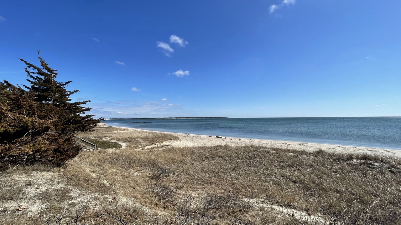 Photo of Others in Hyannis