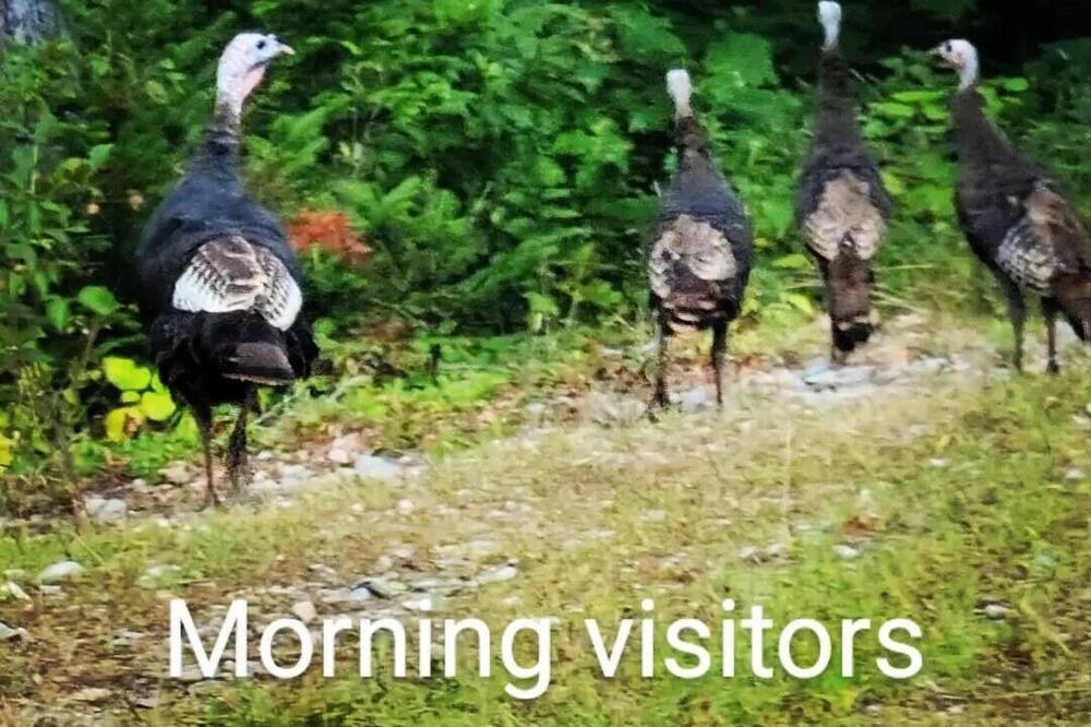 Photo of Others in Grafton