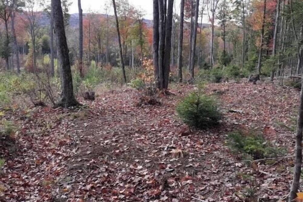 Photo of Others in Grafton