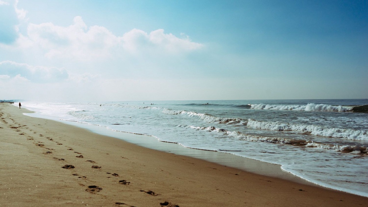 Photo of Others in Ogunquit