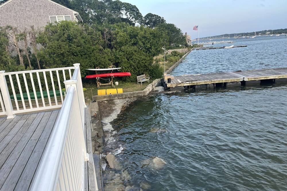 Photo of Others in Dartmouth