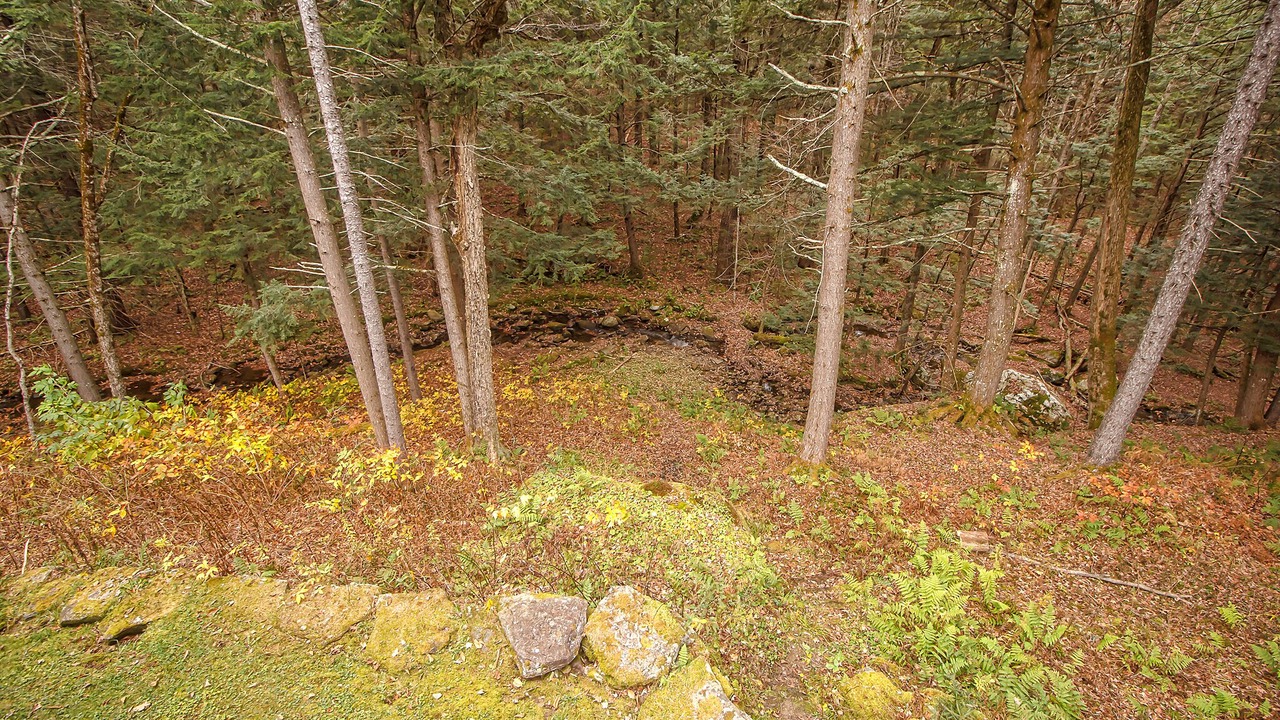 Photo of Outdoor in Wilmington