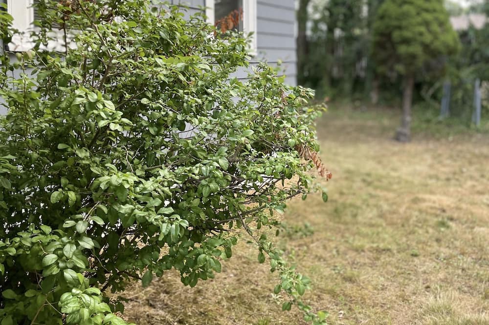 Photo of Outdoor in Providence