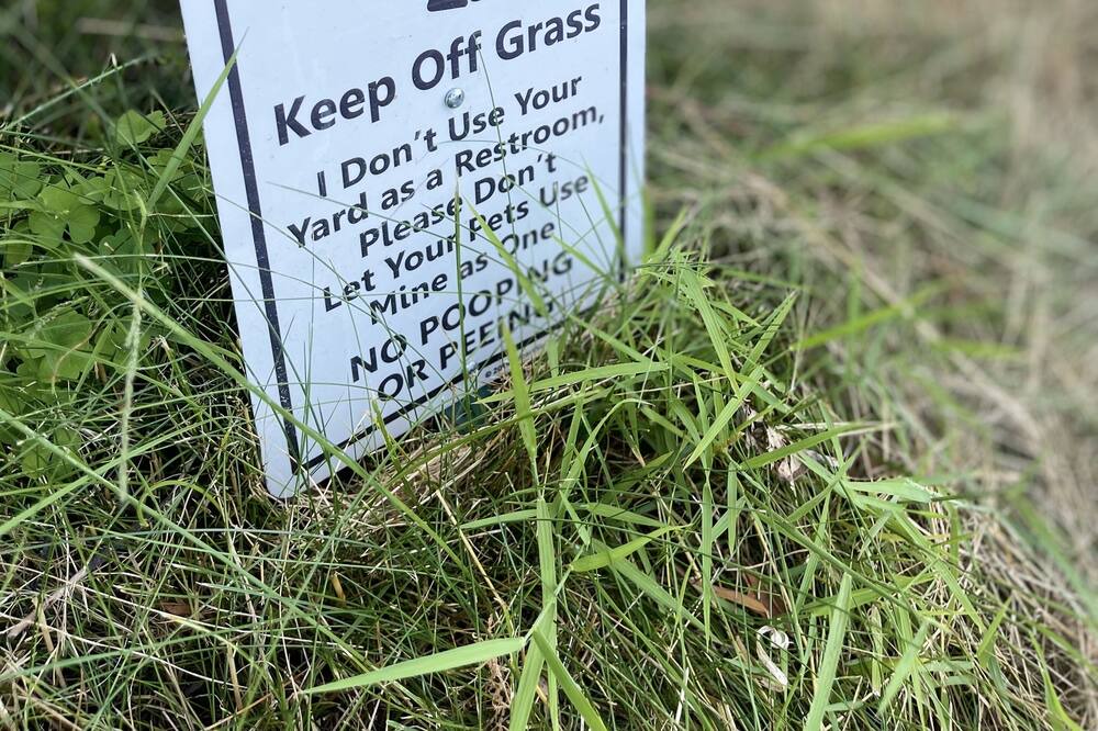 Photo of Outdoor in Providence
