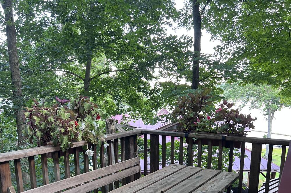 Photo of Patio Balcony in Malletts Bay