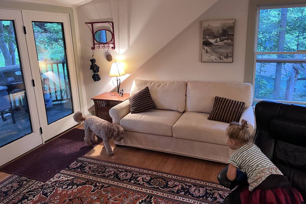 Photo of Livingroom in Malletts Bay